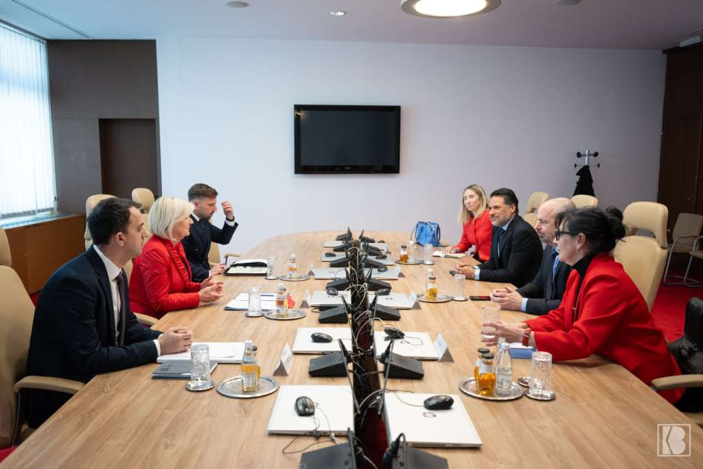 CoM Chairwoman meets with the Special Envoy for Global Energy Integration of the US Department of Energy