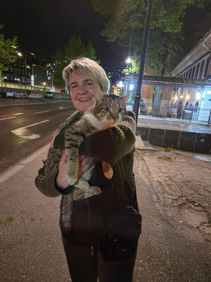 Sarajevo’s Most Beloved Cat Fatmir Found: “For Him, Sarajevo Ends at City Hall”